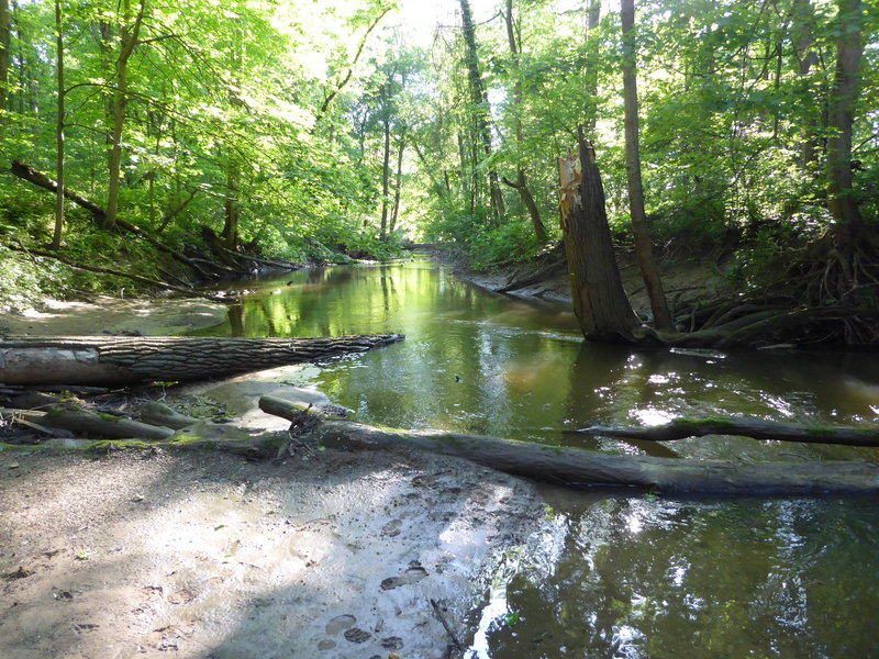 The Calumet River at the western end of the Heron Rookery Trail trickles peacefully in the afternoon sun.