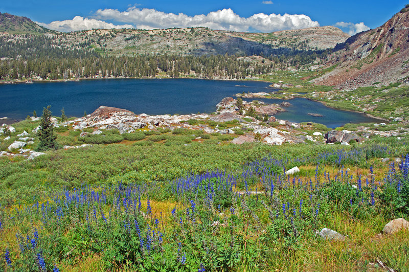 Snow Lake from near the pass to Bigelow Lake, with Grizzly Peak in the background on the right.