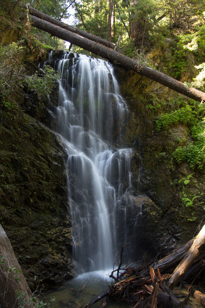 Berry Creek Falls is absolutely stunning in the spring.