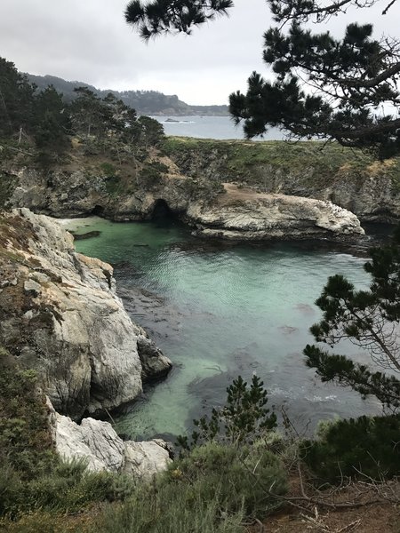 China Cove provides pleasant shelter from the brisk coastal winds.