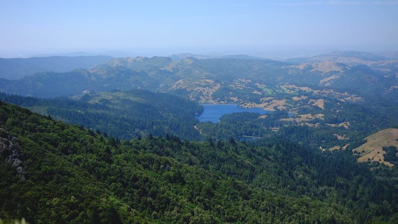 A view from the East Peak of Mt Tamalpais.