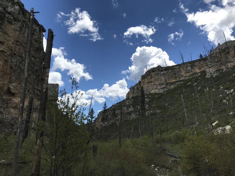 Looking back up at the canyon ridgetop, you get a sense of just how high these walls are.