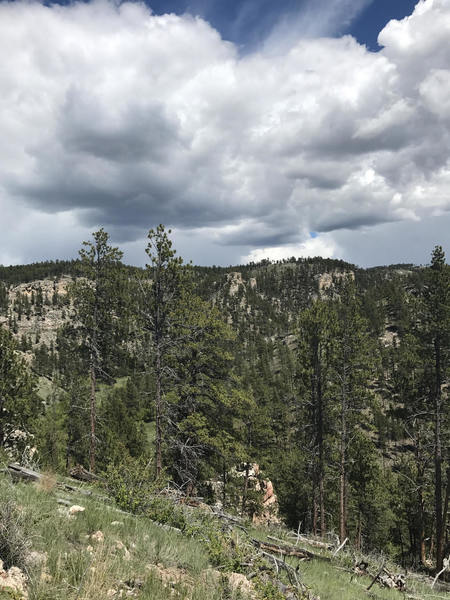 Looking Northeast across the canyon from the Hell Canyon Trail.