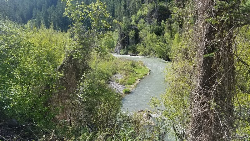 The trail offers plenty of beautiful views of the creek.