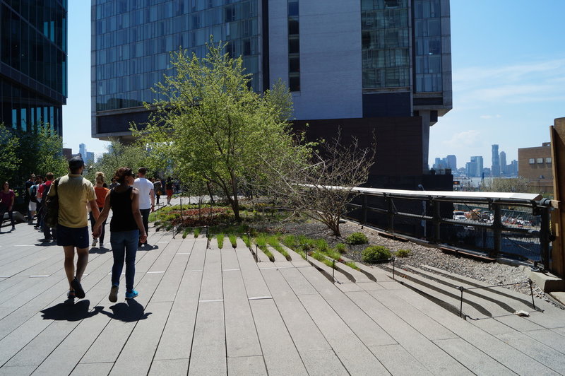 Blossoming trees grow along The High Line.