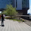 Blossoming trees grow along The High Line.