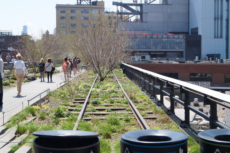 The old High Line rail tracks are a great day activity if you're in Manhattan.