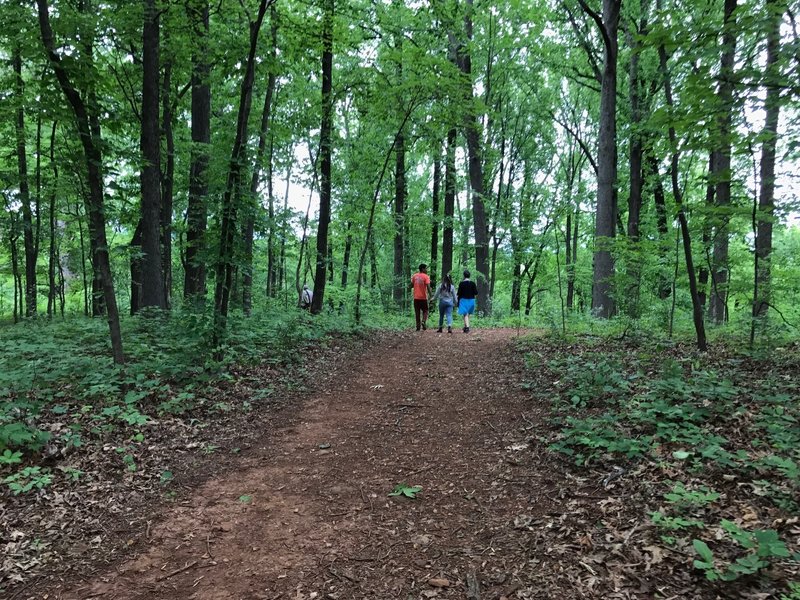 This is a typical stretch of wide, red dirt path on the Secluded Farm property.