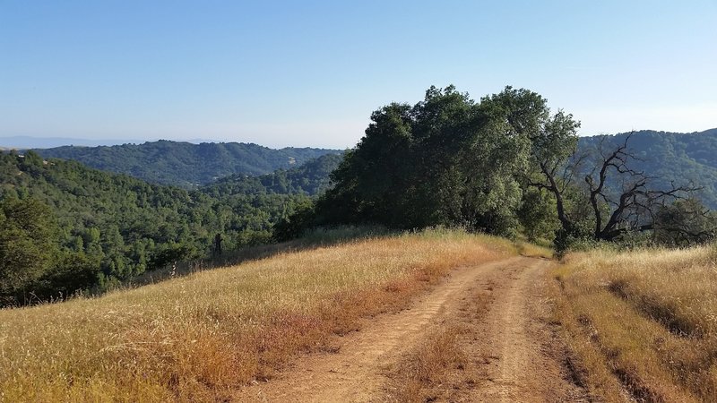 Wide trail, big views, and a steep climb are awaiting you on Wagon Road.