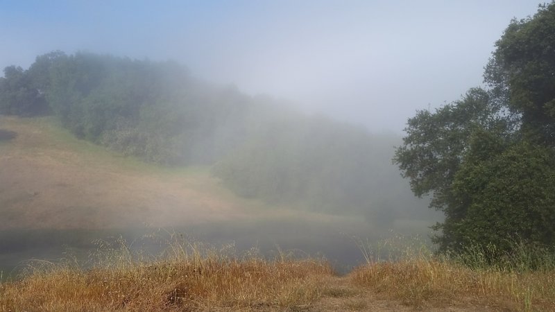 Morning fog rolls over Redfern Pond.