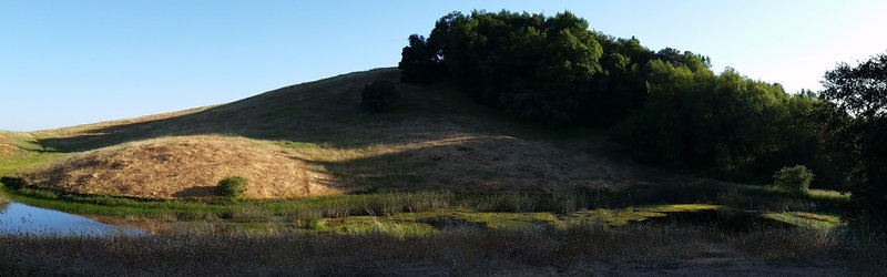 Redfern Pond glows in the evening light.