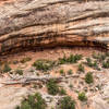 Looking down at the Horse Collar Ruin.