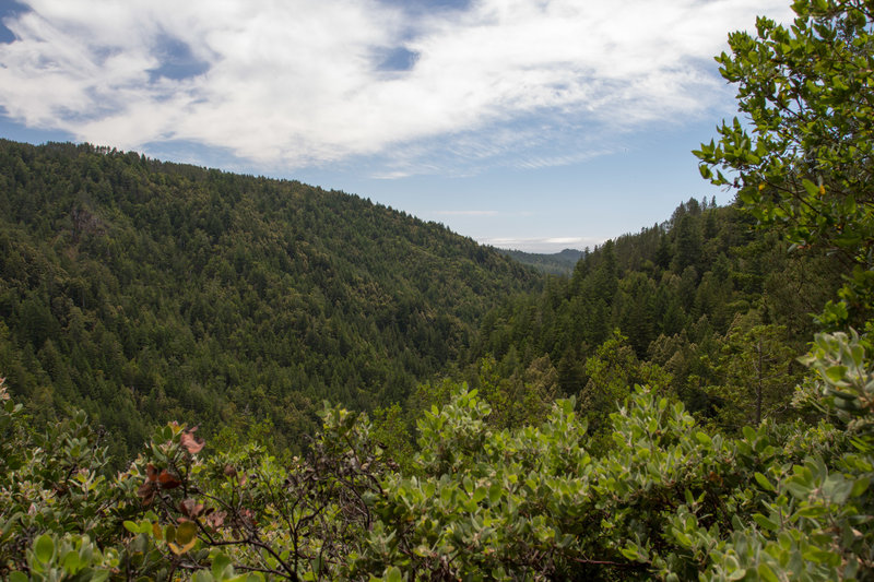 Overlook from the Howard King Trail.