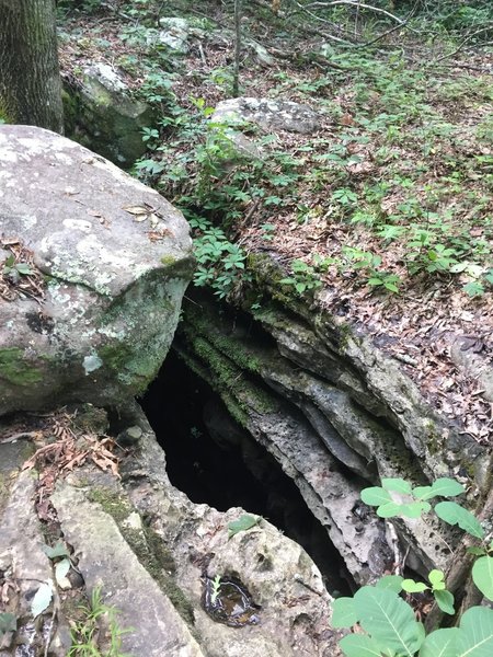 Keep your eyes peeled for underground caves in the limestone along the Lost Sinks Trail.