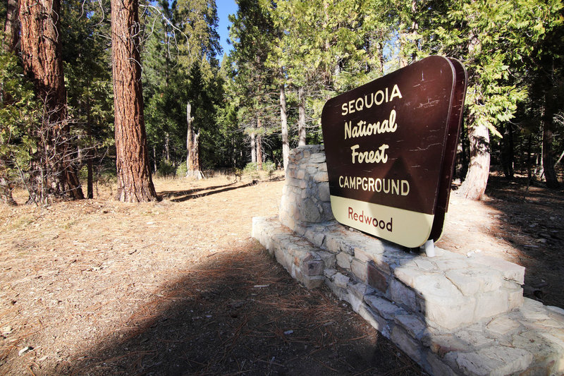 Sequoia National Park's Redwood Meadow Campground is quite nice!