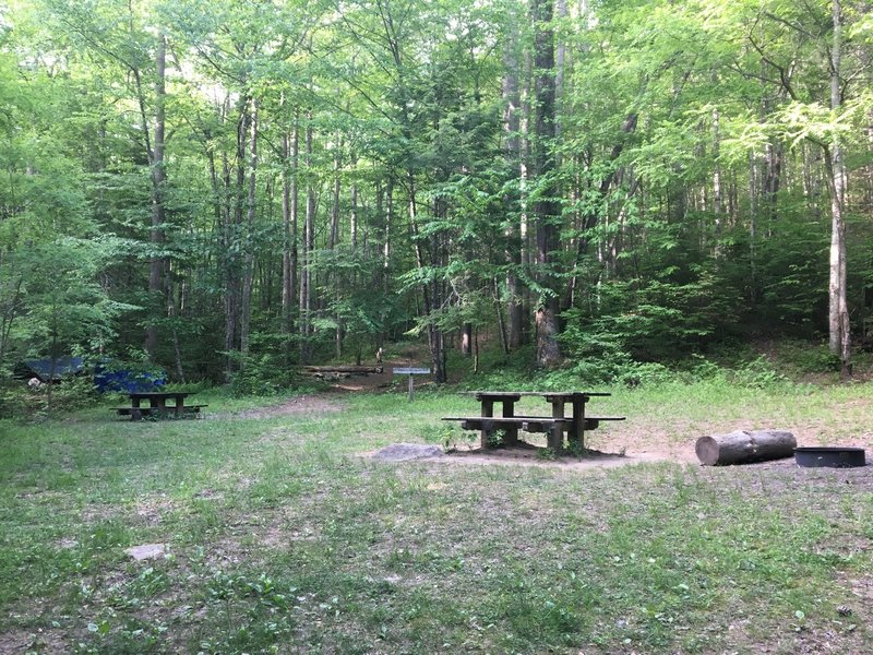 Camp 64 is not a great place for hammocks, though you can make due. It's a good tent location.