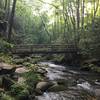 Just past Camp 64, enjoy this great log bridge.