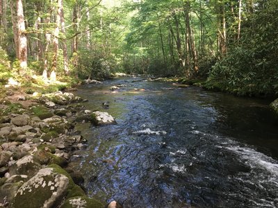 Forney Creek is quite beautiful by Backcountry Camp 71.