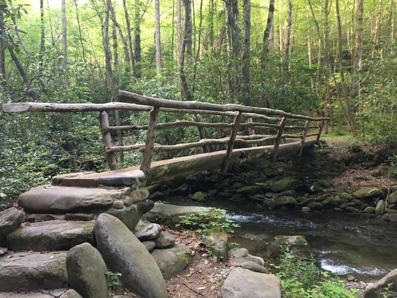 This is the footbridge just past camp 64 on Noland Creek Trail.