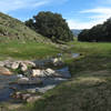 Santa Ysabel Creek is quite beautiful as it flows full of spring runoff.