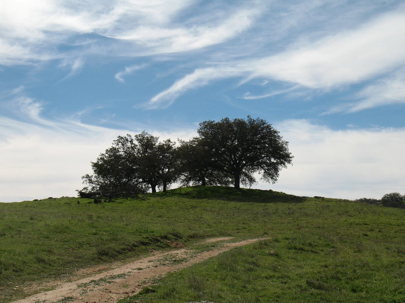 A whimsical sky in Santa Ysabel West Preserve improves the already pleasant scenery.