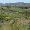 Grassy doubletrack abounds in Black Mountain Ranch Park during the verdant wet season.