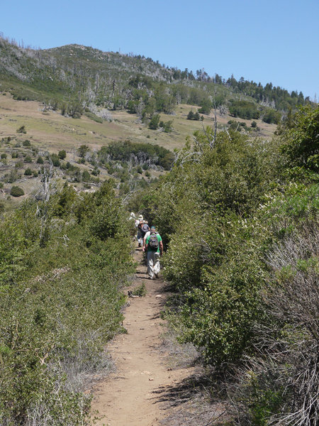 Hikers navigate the West Mesa Loop of Cuyamaca State Park.