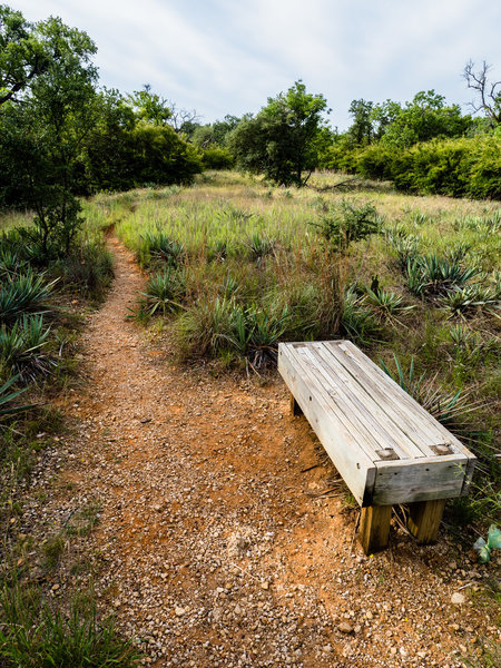 Several benches along the Canyon Ridge Trail let you rest while you soak it all in.