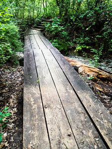 This is one of the many footbridges along the Canyon Ridge Trail.