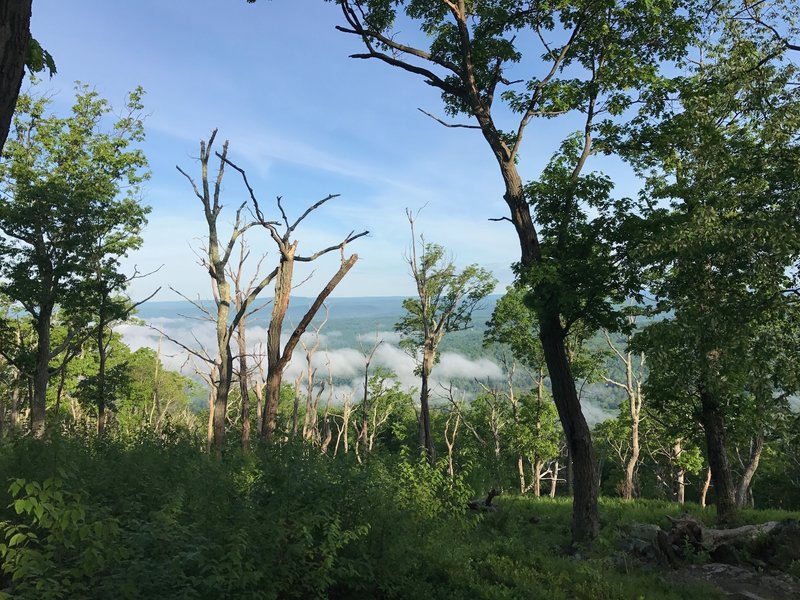 An early morning inversion lingers above the Delaware River.