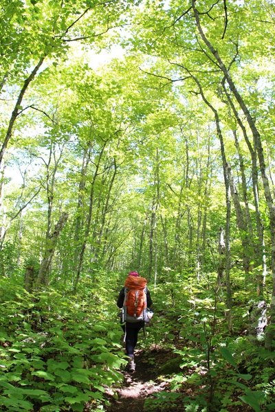 Hiking through the green flora can't help but put a smile on your face.