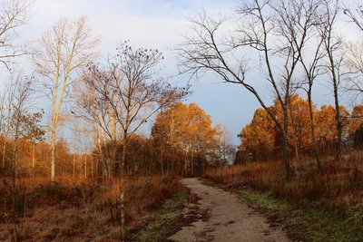 Morning illuminates the Mammoth Cave Railroad Trail.