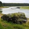 Erratics left over from receded glaciers dot the landscape next to the Bartlett River. Photo credit: NPS Photo.