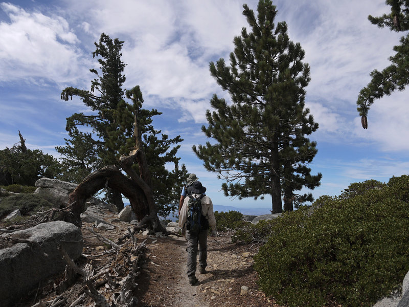 Two hikers ascend the Fuller Ridge Trail (PCT).