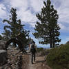 Two hikers ascend the Fuller Ridge Trail (PCT).