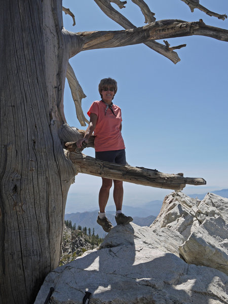 A hiker hangs out at Ontario Peak.