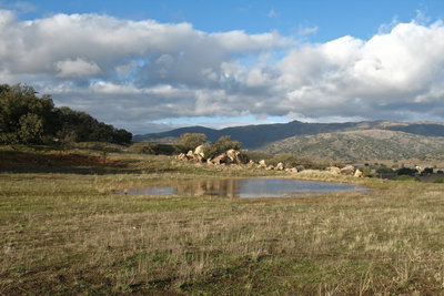 Santa Ysabel Open Space becomes a contrast of grey and green shortly after a winter rainstorm.