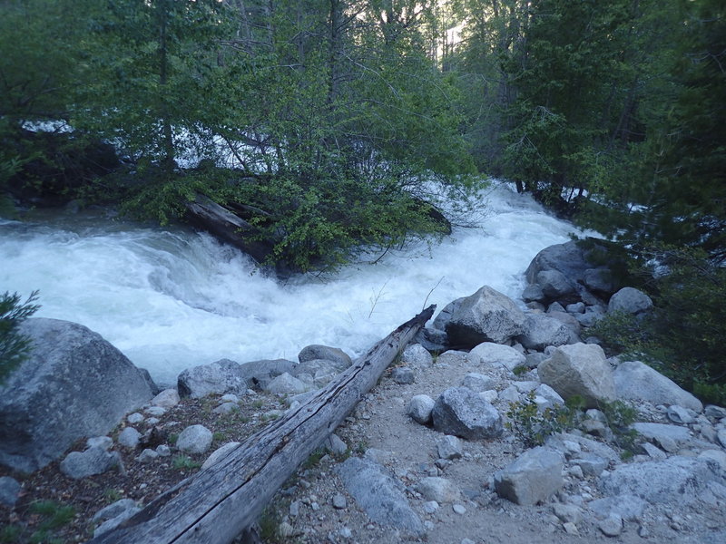 Bubbs Creek cascades down the rocky creek bed along the trail.