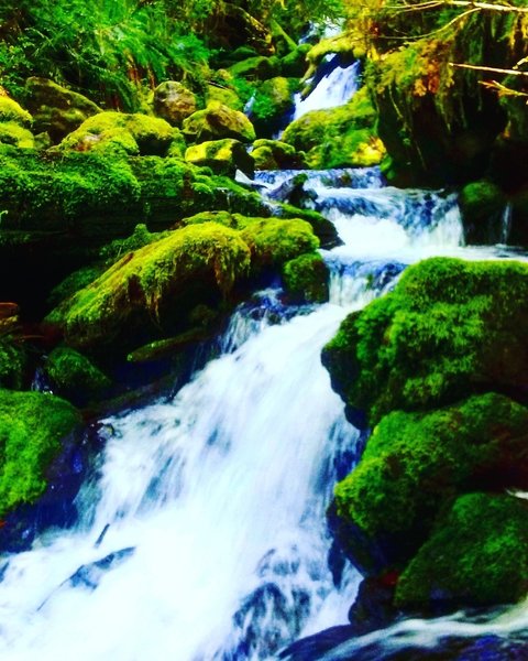 This is part of Copper Creek that you'll follow up the trail.