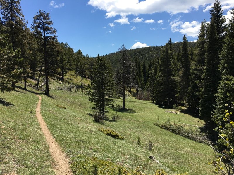 This is a good representation of the general feel of the Fourmile Creek Trail.