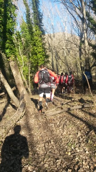 The group makes its way to the Bonzai Climb!