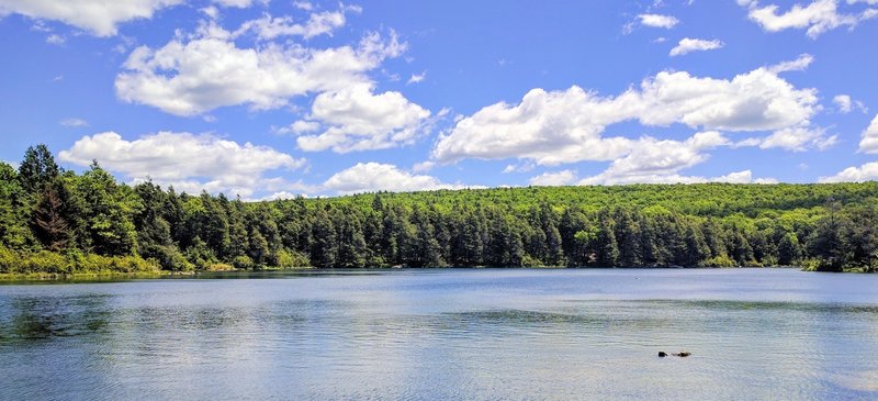 Hemlock Pond provides pleasant trailside companionship.