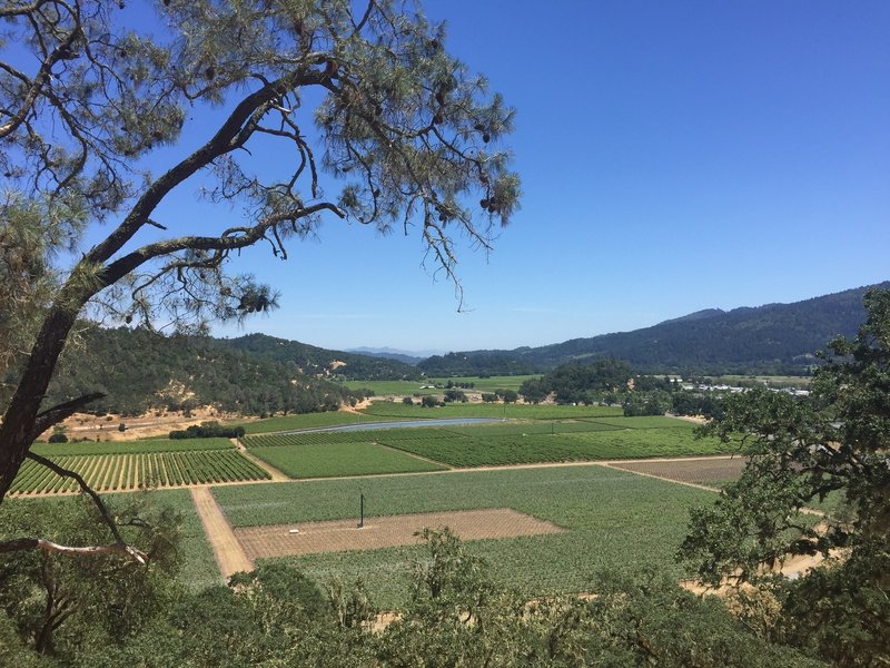 Enjoy a sweeping vista of Napa Valley from the Lower Oat Hill Mine Trail.