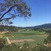 Enjoy a sweeping vista of Napa Valley from the Lower Oat Hill Mine Trail.