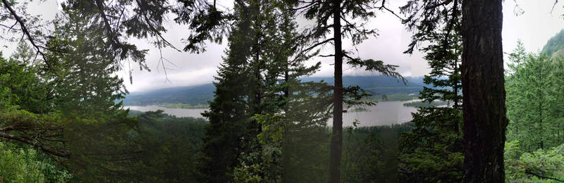 This panorama faces north toward the Columbia River (from the not recommended spur trail to the viewpoint).