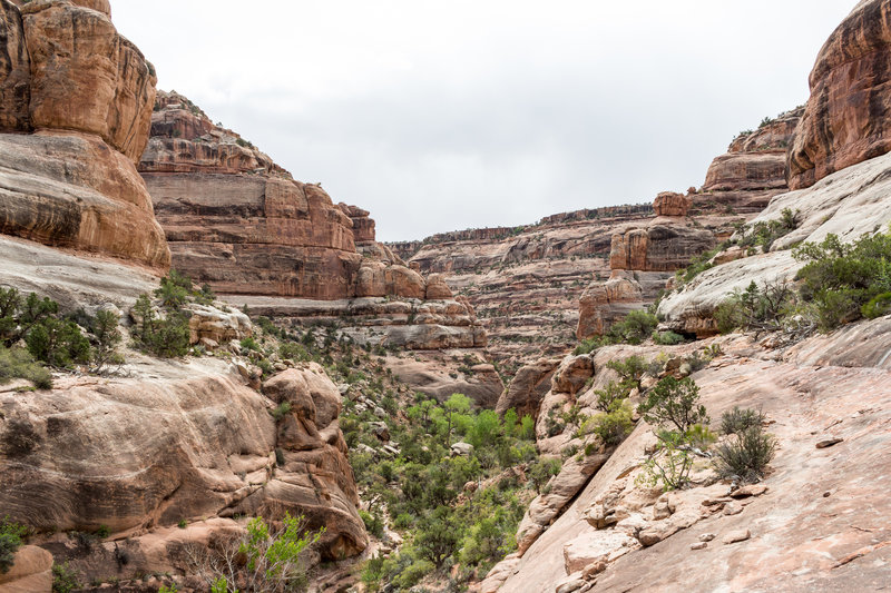 This view is looking into Owl Creek Canyon from a larger side draw.