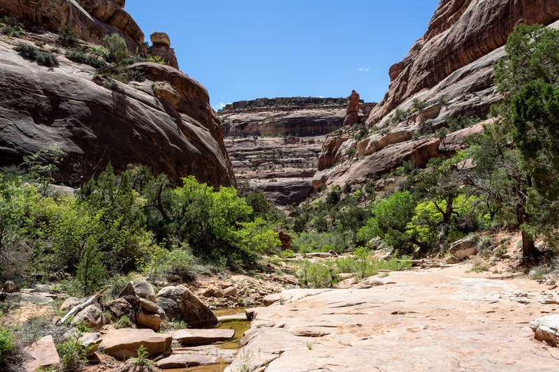 Owl Creek Canyon remains beautiful after the second major pour-off.