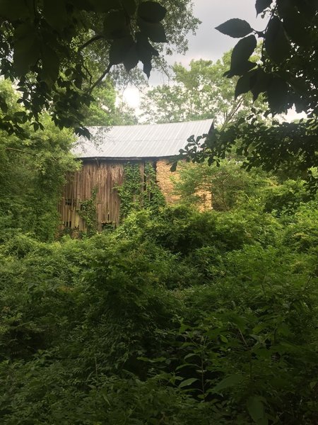 Ruff's Mill Ruins are a must-see if you're in the area.