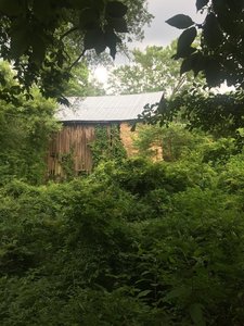 Ruff's Mill Ruins are a must-see if you're in the area.