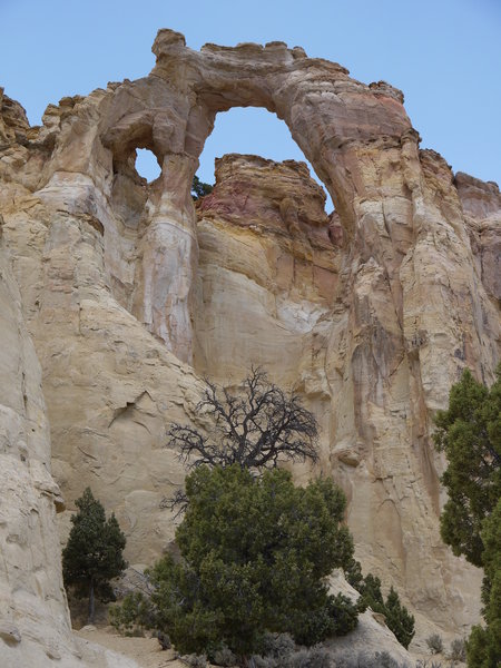 Grosvenor Arch has quite a bit of character.